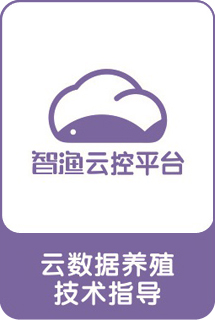 &#107;&#97;&#105;&#121;&#117;&#110;&#24320;&#20113;&#23448;&#26041;&#32593;&#39029;&#29256;&#95;&#107;&#97;&#105;&#121;&#117;&#110;&#40;&#20013;&#22269;&#41;